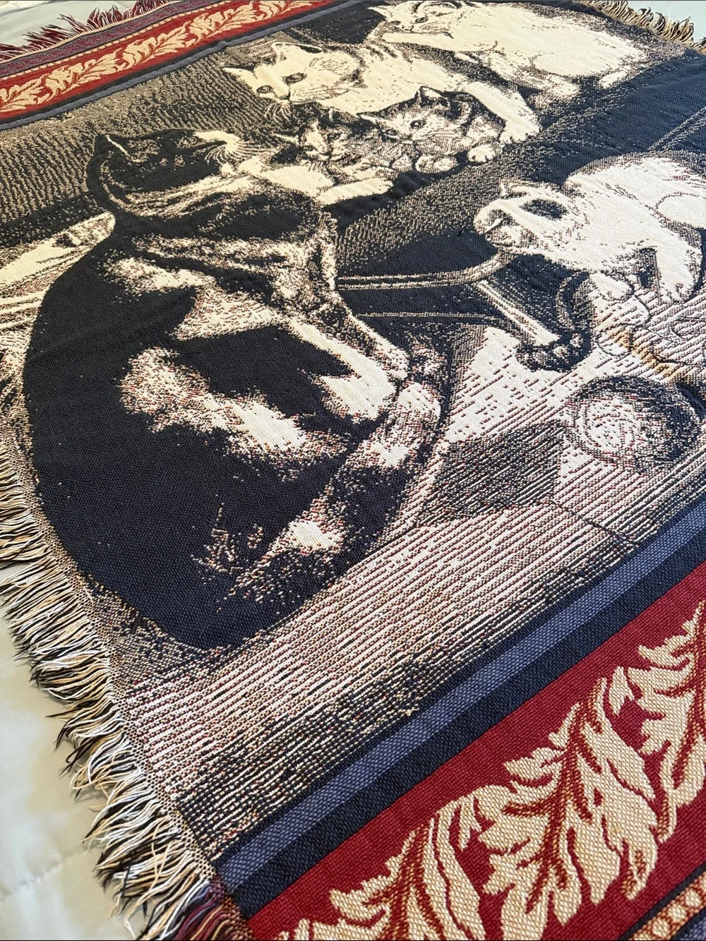 Vintage Cottagecore 100% Thick Cotton Tapestry Style Fringed Throw, 65”x48”